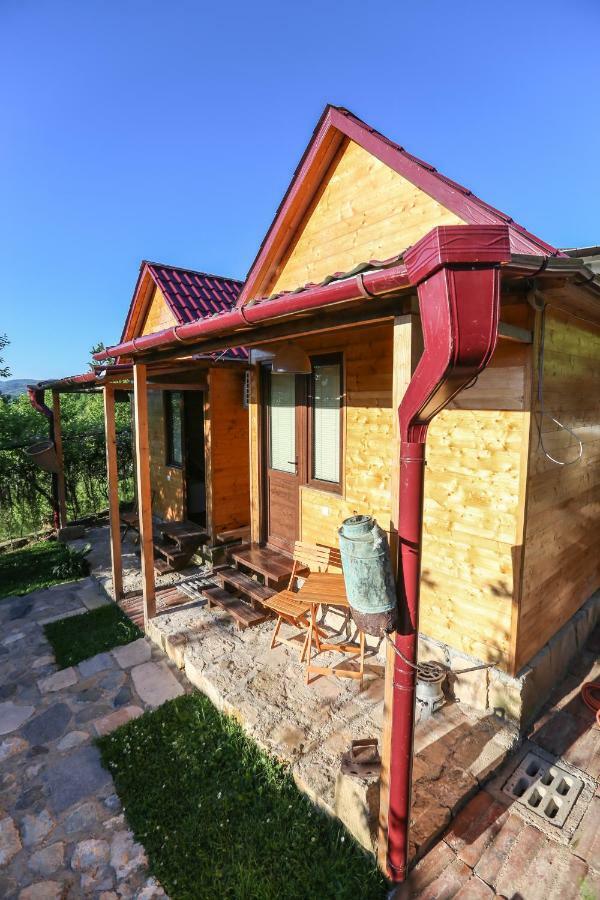Bukhriani Villa Kutaisi Exterior photo